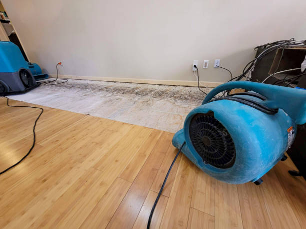 Professional Basement Flood Cleanup technician working in Bodega, CA